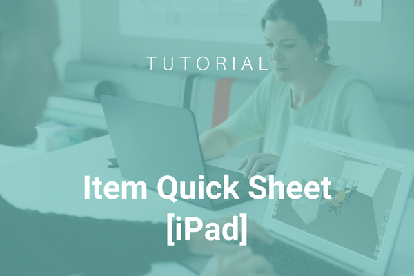 Read more about the article Item Quick Sheet [iPad]